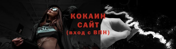 стафф Арсеньев