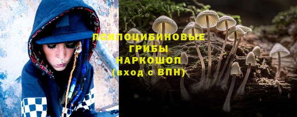 шишки Алексин