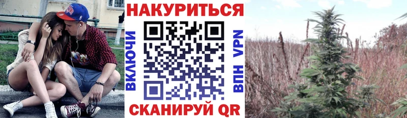 МАРИХУАНА тримм  Ельня 